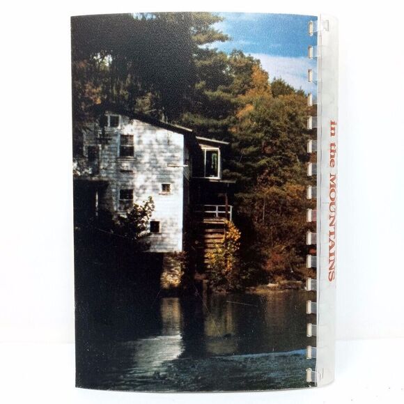 Somethin's Cookin' in the Mountains - Vintage Northeast Georgia Recipe Cookbook - Picture 4 of 11